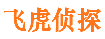 金阊市侦探调查公司